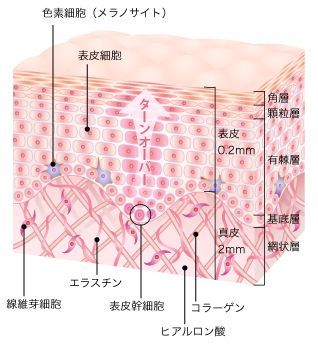 【保存版】メンズスキンケア徹底ガイド〜効果的なお手入れ方法とおすすめブランド化粧品を厳選紹介〜