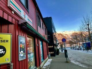 北極圏にあるノルウェー北部の小さな街トロムソに行ってきました!
