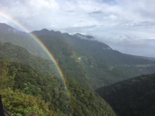 一度は行ってみたい！屋久島の観光地「白谷雲水峡」とフェリー屋久島の船内をご紹介！