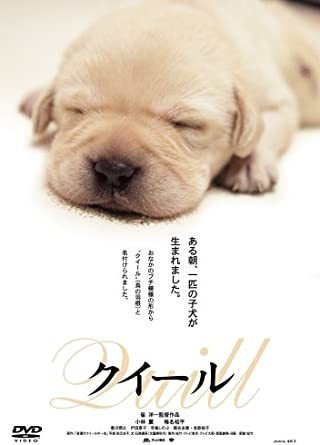 ペットが登場するおすすめドラマ・映画！感動や笑いがある犬と猫が題材の作品を紹介