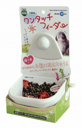 可愛い猿を家で飼いたい！ペットにおすすめの種類や飼い方のポイントをご紹介！