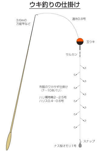 ウキ釣りの仕掛けガイド！初心者におすすめしたい作り方とは？