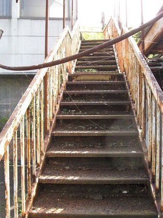 心霊スポットの危険トラップ7! 奈落の底に落下、致命的な細菌感染… 肝試しに行く前に