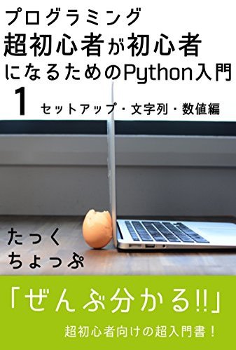 プログラミング初心者の副業にはPythonがおすすめ。学習方法と仕事の探し方を解説