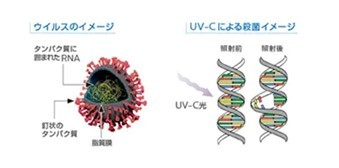 コロナ消毒の大本命はフィリップス？　隠れた老舗の消毒照明が信頼に値する理由