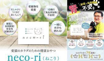 窓辺から中庭を眺める猫。そこに、赤ちゃんを連れた『ある動物』の家族がやってきましたよ！！