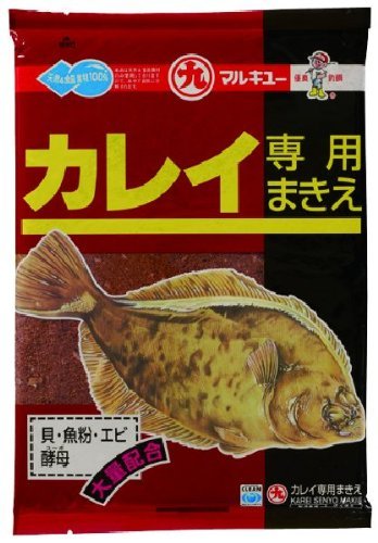 【コマセ特集】初心者にもおすすめ！コマセ釣りのイロハを細くご紹介！