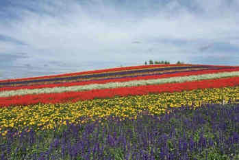 なぜ無断で「私有地」に侵入してしまう外国人がいるのか：観光公害の背景に常識の違い、北欧の「自然享受権」という考え方