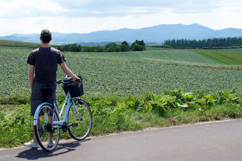 ふるさと納税の申し込み「8ステップ」この通りにやればできる