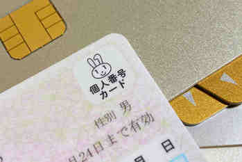 FX口座開設でマイナンバーを提出しないとどうなる？カードがない場合はどうする？パターン別に解説