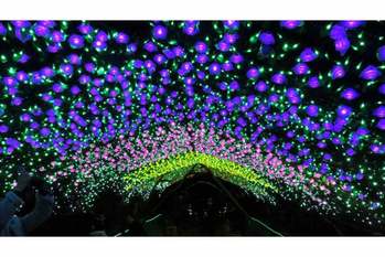 【連載】ドライブで楽しむおすすめの旅 ～冬の群馬で渓谷美とイルミネーションを満喫～