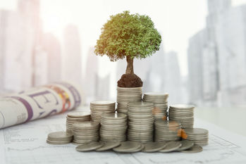 投資信託で投資初心者が購入を検討したいファンド3選　インデックスファンド、ターゲットイヤーファンド、直販投信