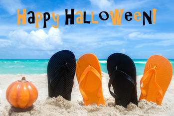 「秋のハワイ」が家族連れにオススメの理由