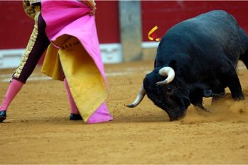 田舎で不穏な影が…正面から牛に頭突きされアニメでよく見る「あの光景」に…