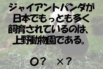 〇×クイズ テーマ：動物園【〇× vol.153】