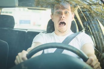 春先に起こりやすい「飛び石」被害！なぜ起こる？対処法は？