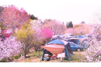 愛知おすすめキャンプ場10選！無料やコテージ、グランピング施設もご紹介