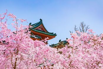 近畿地方でしか伝わらない...！？約4割に通じない方言「ほる」とは？