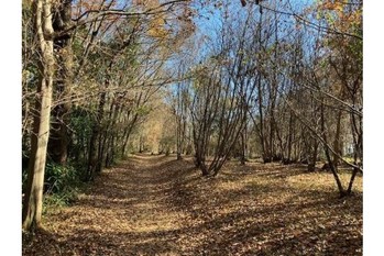 【首都圏からおでかけおすすめ！】ちょっとした山登り気分も味わえる狭山丘陵の都立公園散歩
