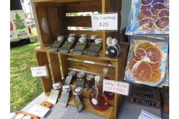 ケアンズでオーストラリアらしい趣味、始めました！それは...まさかの養蜂！？