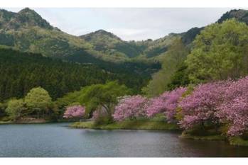 【2021年版】無料で使える関東のキャンプ場10選