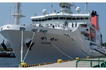 「深海に7000年生きるサンゴがいた！」日本の海の保全エリアで15種の新種を発見