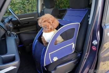 Honda Access人とペットの豊かな暮らしフェア「インターペット2021」にHonda Dogとして出展へ。