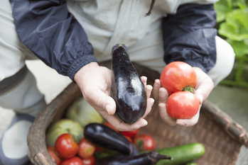 一人暮らしにおすすめのふるさと納税返礼品15選！申請時の注意点も紹介