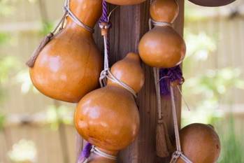 お酒は飲むより○○するほうがNG？