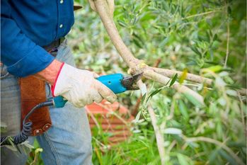 危険な定年後バイトをさけるには