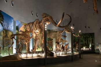 【福井県勝山市・恐竜に呼ばれて、ひとり旅】ロマンあふれる“勝山トリップ”のはじまり【福井県立恐竜博物館＆おすすめスポット3選】