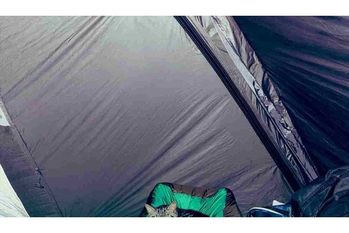 テントで寝ていたら足元に重さを感じて暗闇の中恐る恐る写真を撮って確認してみると写っていたものに驚いた！