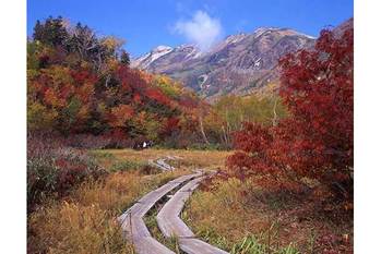 【長野】白馬山麓の栂池と八方尾根をハイキング