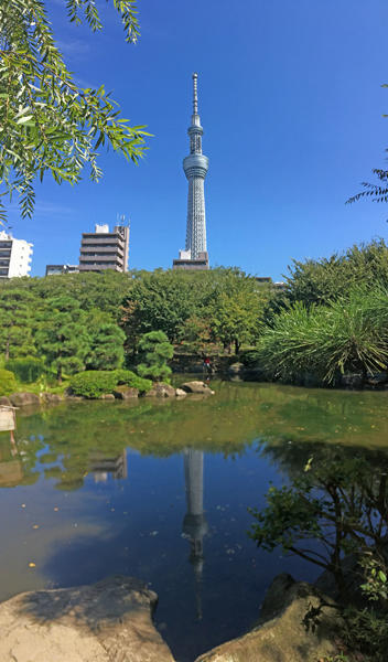 スマホで東京スカイツリー®の美景を撮る