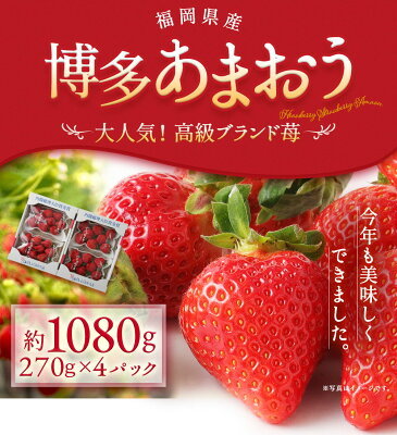 2021年・5000円分ふるさと納税するなら？おすすめ返礼品6選。還元率も解説！