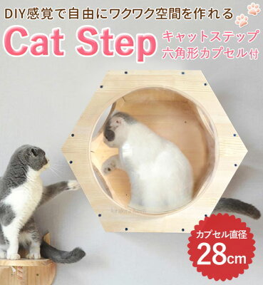 キャットウォークをDIYで手作り！おしゃれな猫用タワーの作り方をご紹介！