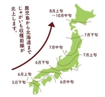 カルビーグループとJA十和田おいらせが共同開発青森県横浜町のじゃがいものみを使用『青森県産じゃがいも使用ポテトチップス だししお味』