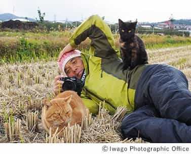 2月22日は猫の日｜日本橋三越本店で岩合光昭写真展 「こねこ」を開催