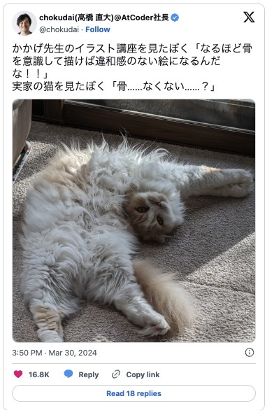 「首、どうみても取れてる」SNSに投稿された猫の写真に反響