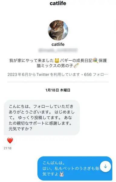 有名猫アカウントの写真が無断転載被害に→追ってみたら典型的なロマンス詐欺だった件の一部始終を公開