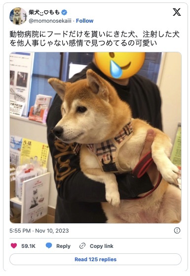 大丈夫かなぁ……　注射したワンちゃんを他人事じゃない様子で見つめる柴犬