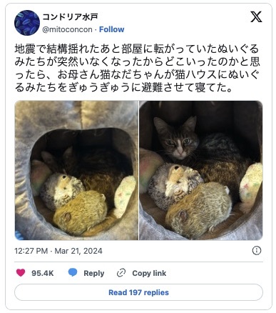 地震発生で猫がぬいぐるみと避難　母性あふれる行動にほっこり