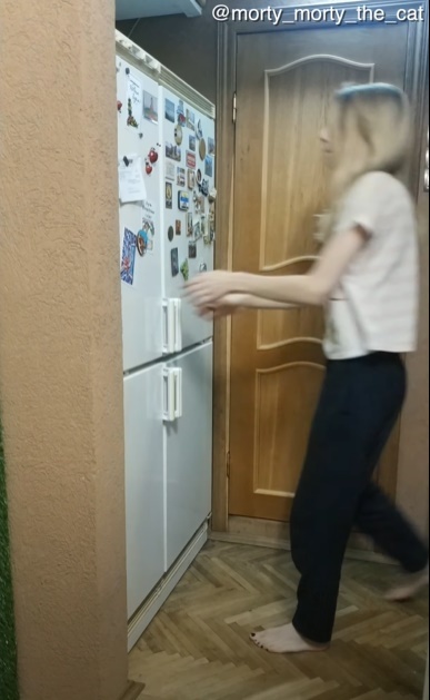 冷蔵庫を開けた一瞬の隙をつく小さなギャングの犯行に驚愕!ヤツが盗んだものとは・・・