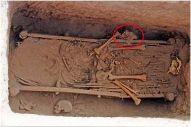 革の鱗でできた2500年前の「スケイルアーマー」を発見、史上2例目