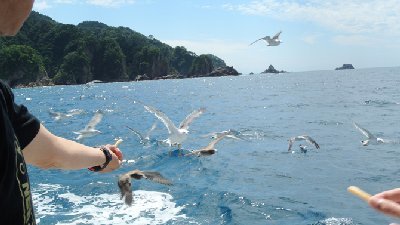 海の透明度がハンパない！笹川流れで遊覧船観光とグルメを楽しもう！