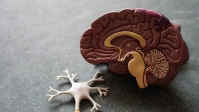 記憶力がいい人はこれをしていた!記憶力アップ術を徹底解説!