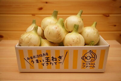バーベキューにぴったり!玉ねぎ丸ごとホイル焼きが簡単・おいしい・やみつき!