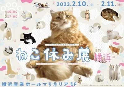 横浜で「ねこ休み展 2023」開催決定！　2月10日と11日の2日間限定