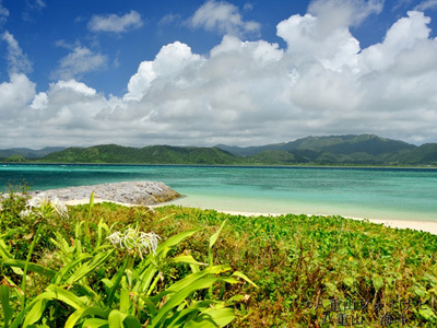 小浜島 西大岳からの光景