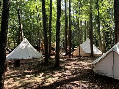 河口湖近くの「耕作放棄地」に新キャンプ場！　ありのままの自然が楽しめる